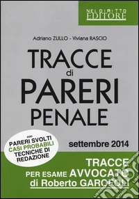 Tracce di pareri penale con pareri svolti, casi probabili, tecniche di redazione libro