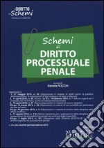 Schemi di diritto processuale penale libro