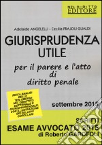 Giurisprudenza utile per il parere e l'atto di diritto penale