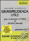 Giurisprudenza utile per il parere e l'atto di diritto penale libro