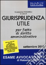 Giurisprudenza utile per l'atto di diritto amministrativo libro