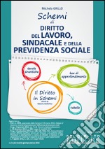 Schemi di diritto del lavoro, sindacale e della previdenza sociale libro