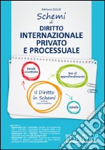 Schemi di diritto internazionale privato e processuale libro