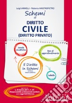 Schemi di istituzioni di diritto civile (diritto privato) libro