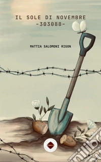 Il sole di novembre - 303088 - libro