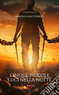 Cinque piccole luci nella notte. Nuova ediz. libro