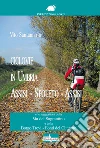 Ciclovie in Umbria. Assisi-Spoleto-Assisi e le suggestioni della Via del Sagrantino e della Borgo Trevi-Fonti del Clitunno libro