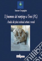 Il fenomeno del reimpiego a Trevi (PG). Analisi dei plessi ecclesiali e urbani libro