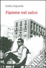 Fiamme nel solco libro