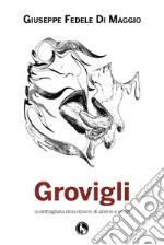 Grovigli libro