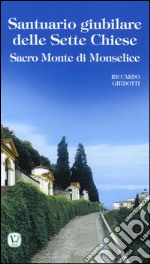 Santuario giubilare delle Sette Chiese. Sacro Monte di Monselice libro