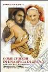 Come chicchi in una spiga di grano. San Gaetano Thiene, Papa Francesco e lo straordinario