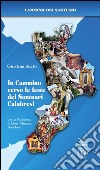 In cammino verso le feste dei Santuari calabresi libro