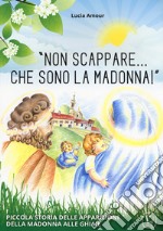 «Non scappare... che sono la Madonna!» Piccola storia delle apparizioni della Madonna alle Ghiaie libro