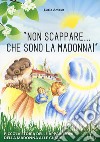 «Non scappare... che sono la Madonna!» Piccola storia delle apparizioni della Madonna alle Ghiaie libro