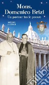 Mons. Domenico Brizi. Un pastore tra le pecore libro di Cantori Matteo