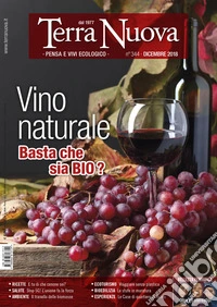 Terra nuova (2018). Vol. 12: Dicembre libro
