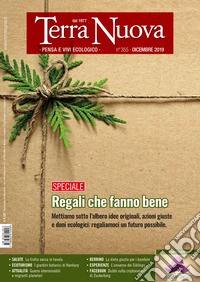 Terra nuova (2019). Vol. 12: Dicembre libro