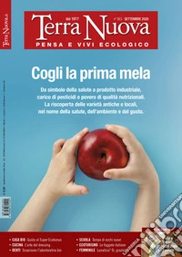 Terra nuova (2020). Vol. 8: Settembre