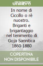 In nome di Ciccillo o rè nuostro. Briganti e brigantaggio nel tenimento di Goja Sannitica 1860-1880