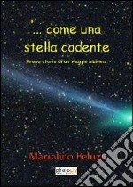 ... Come una stella cadente. Breve storia di un viaggio insieme libro