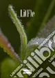 Li(f)e