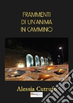 Frammenti di un'anima in cammino libro