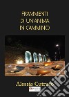 Frammenti di un'anima in cammino libro