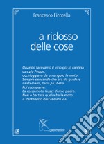 A ridosso delle cose libro