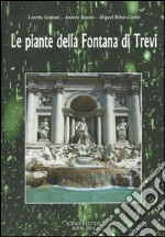 Le piante della fontana di Trevi