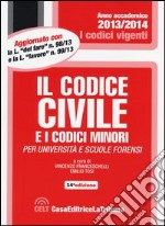 Il codice civile e i codici minori libro