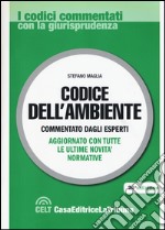 Codice dell'ambiente libro