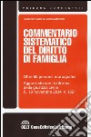 Commentario sistematico del diritto di famiglia libro