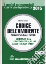 Codice dell'ambiente libro