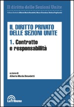 Il diritto privato delle sezioni unite. Vol. 1: Contratto e responsabilità libro