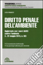 Diritto penale dell'ambiente libro