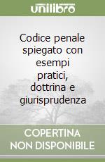 Codice penale spiegato con esempi pratici, dottrina e giurisprudenza libro