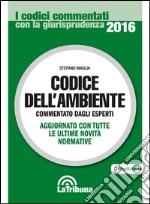 Codice dell'ambiente libro