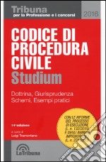 Codice di procedura civile. Dottrina, giurisprudenza, schemi, esempi pratici libro