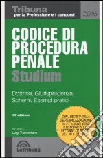 Codice di procedura penale Studium. Dottrina, giurisprudenza, schemi, esempi pratici libro