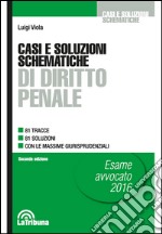 Casi e soluzioni schematiche di diritto penale libro