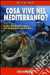 Cosa vive nel Mediterraneo? Guida all'identificazione per i subacquea e snorkeling libro