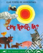 Che tempo fa? Ediz. a colori libro