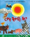 Che tempo fa? Ediz. a colori libro