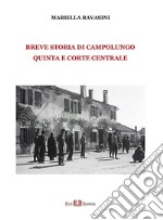 Breve storia di Campolungo, Quinta e Corte Centrale libro