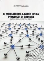 Il mercato del lavoro nella provincia di Brindisi. Capitale sociale e capitale umano libro