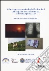 Valutazione economica degli effetti sanitari dell'inquinamento atmosferico. La metodologia dell'EEA. Atti Workshop (Taranto 23-24 luglio 2012) libro