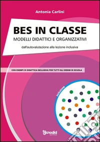 BES in classe. Modelli didattici e organizzativi libro