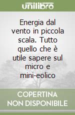 Energia dal vento in piccola scala. Tutto quello che è utile sapere sul micro e mini-eolico