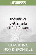 Incontri di pietra nella città di Pesaro libro